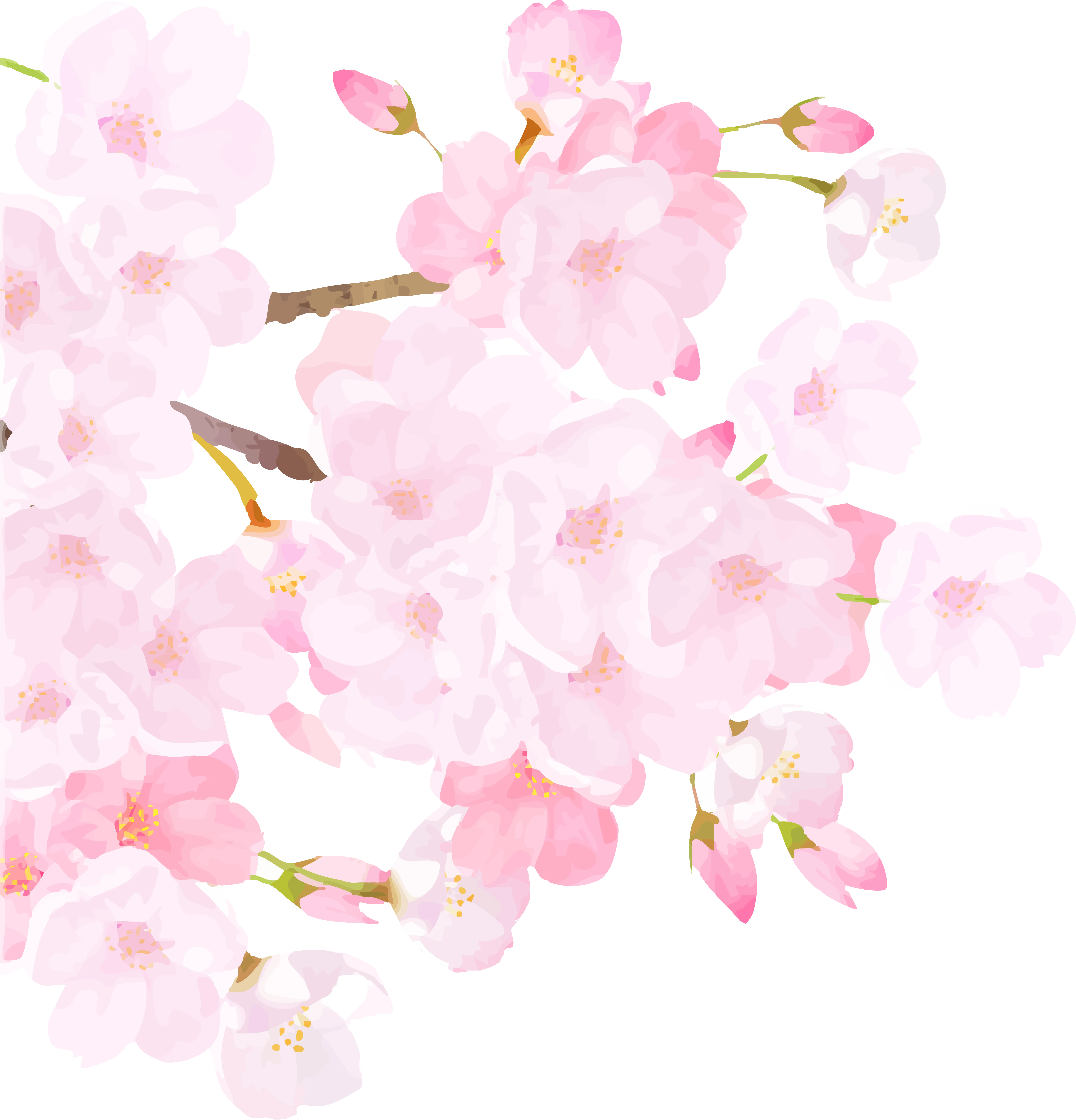 桜 イメージ
