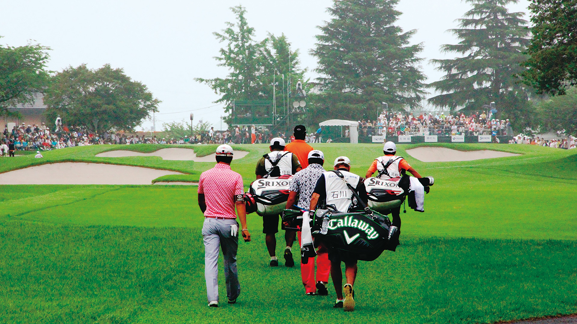 JAPAN GOLF TOUR CHAMPIONSHIP