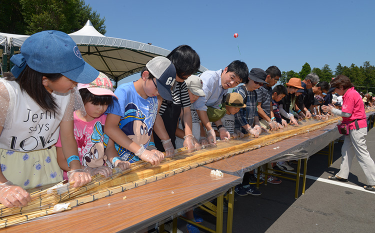 グリーンフェスタかさま（市民まつり） - 1