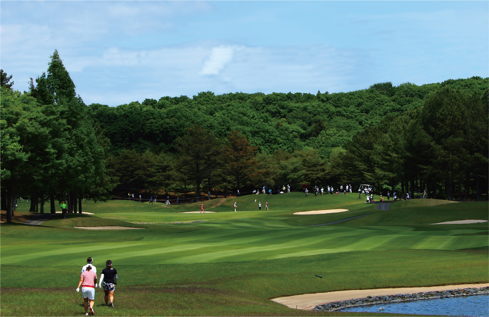 静ヒルズイメージ画像