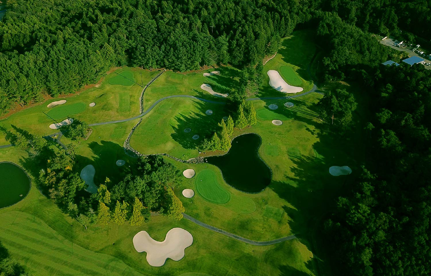 ご予約フォーム